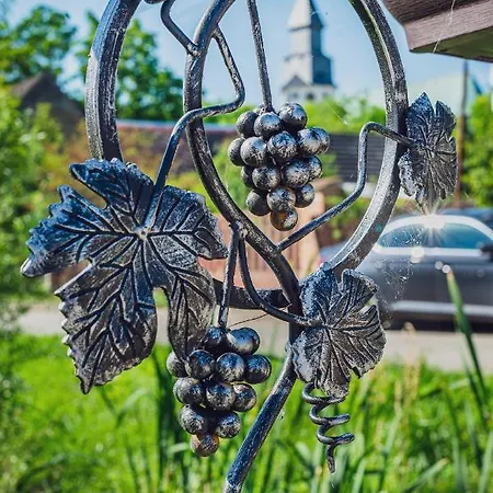 Zabinec - Penzion, Vinoteka Kurdějov