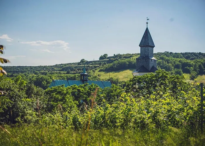 Zabinec - Penzion, Vinoteka